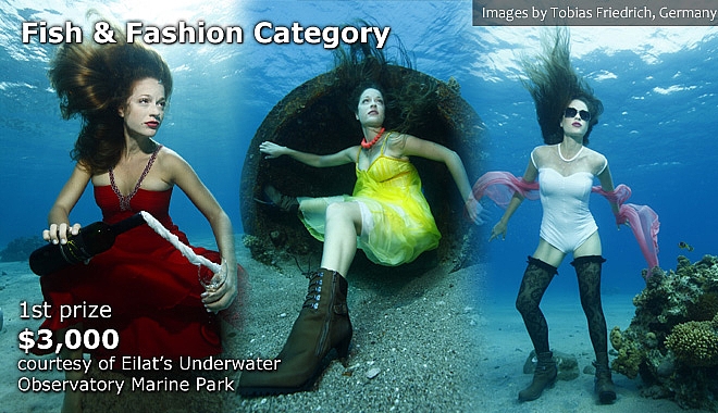 Fish & Fashion Category