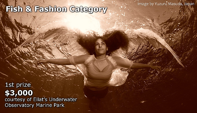 Fish & Fashion Category